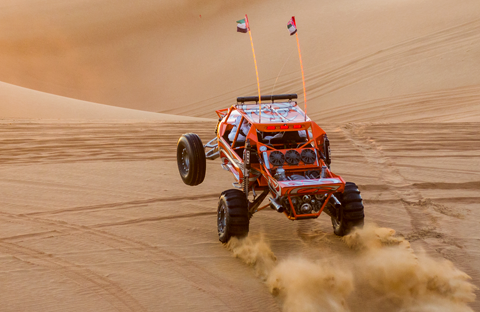 Buggy Safari